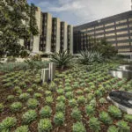 Amgen And Cedars-Sinai Partner For Improved Healthcare Quality
