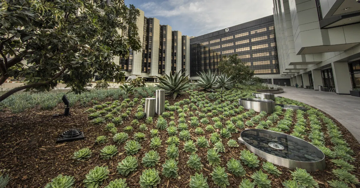 Cedars Sinai and Amgen