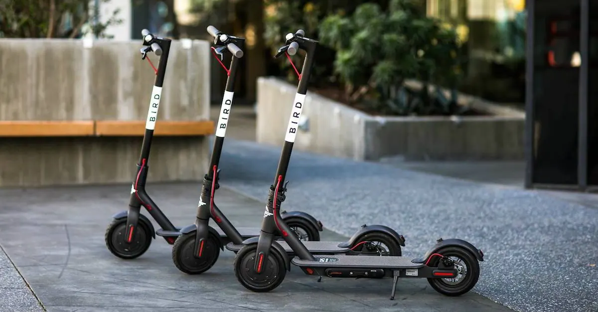 Three Bird Scooters parked side-by-side
